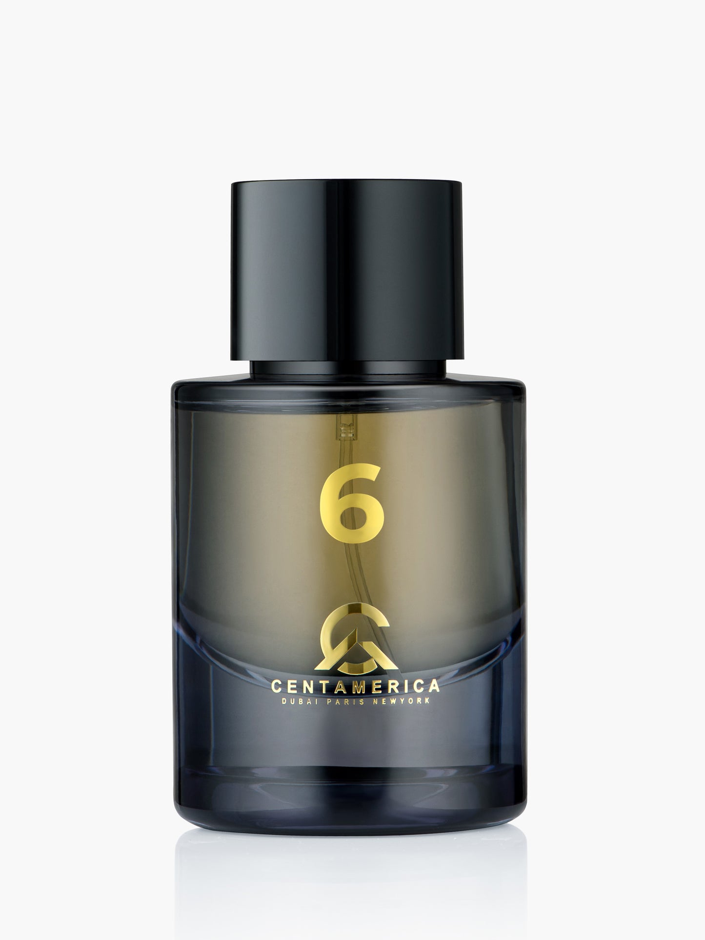 Centamerica No.6 Inspired By Ombré Leather Tom Ford