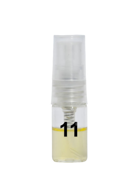 Centamerica No.11 Inspired By Megamare Orto Parisi