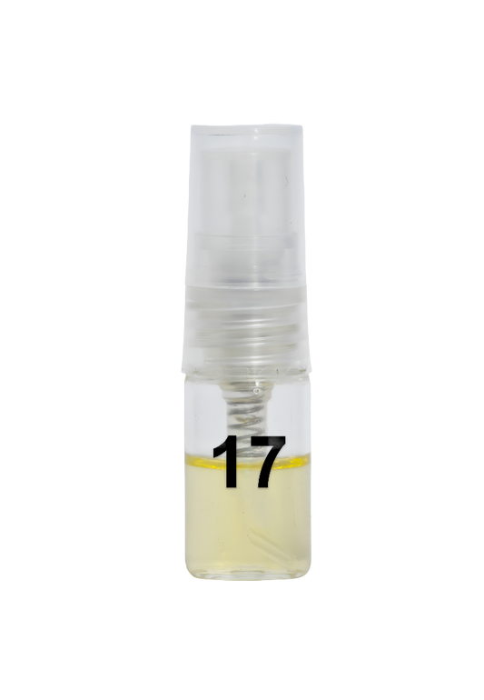 Centamerica  No.17 Inspired By L’Immensité Louis Vuitton