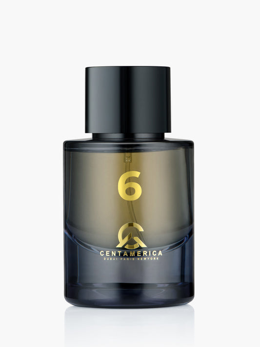 Centamerica No.6 Inspired By Ombré Leather Tom Ford