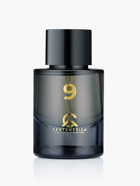Centamerica No.9 Inspired By Orage Louis Vuitton